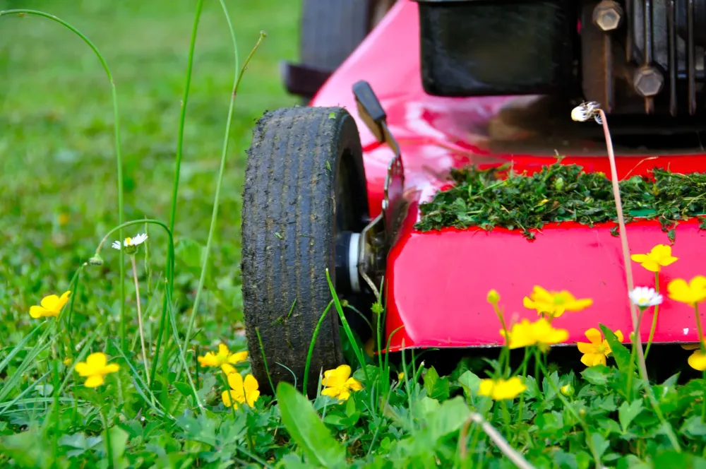 réparateur débrousailleuse à Guerlédan